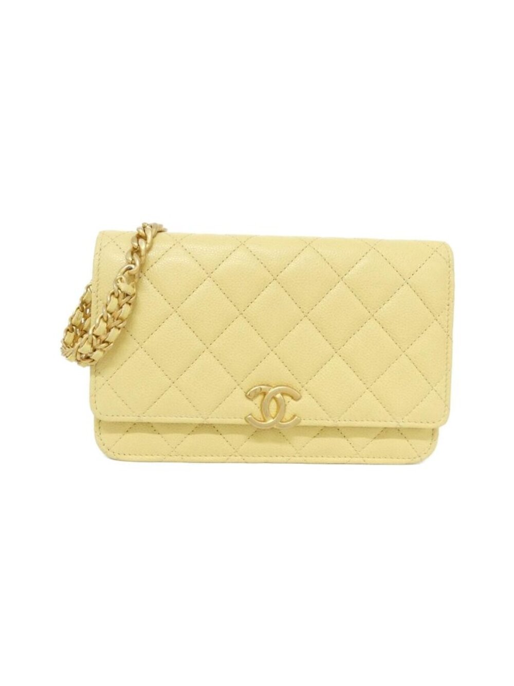 Chanel Chain Wallet Shoulder Bag
